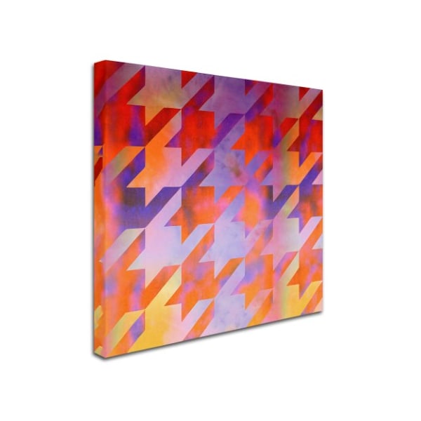 Color Bakery 'Houndstooth VIII' Canvas Art,24x24